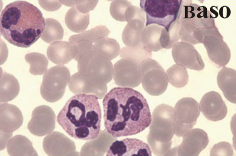 �Ϸ���ټ�(x��)��ȾɫҺ/diff-quik ȾɫҺ