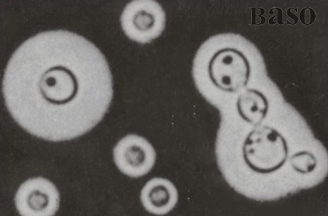 ӡ��ī֭�������[���ȾɫҺ��