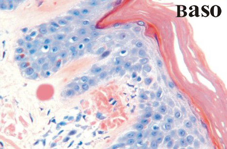 �״������tȾɫҺ