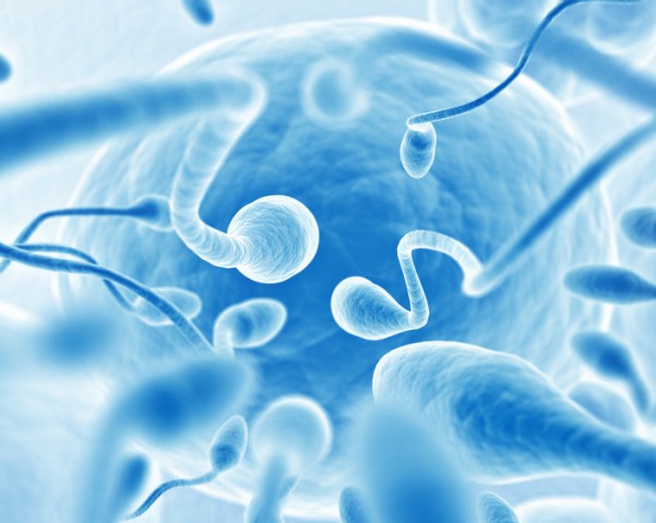 ��ֳ�t(y��)�W(xu��)ȾɫҺ