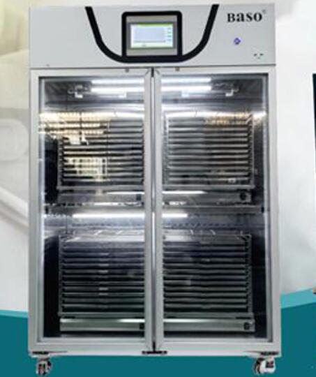 ѪС������ʎ������